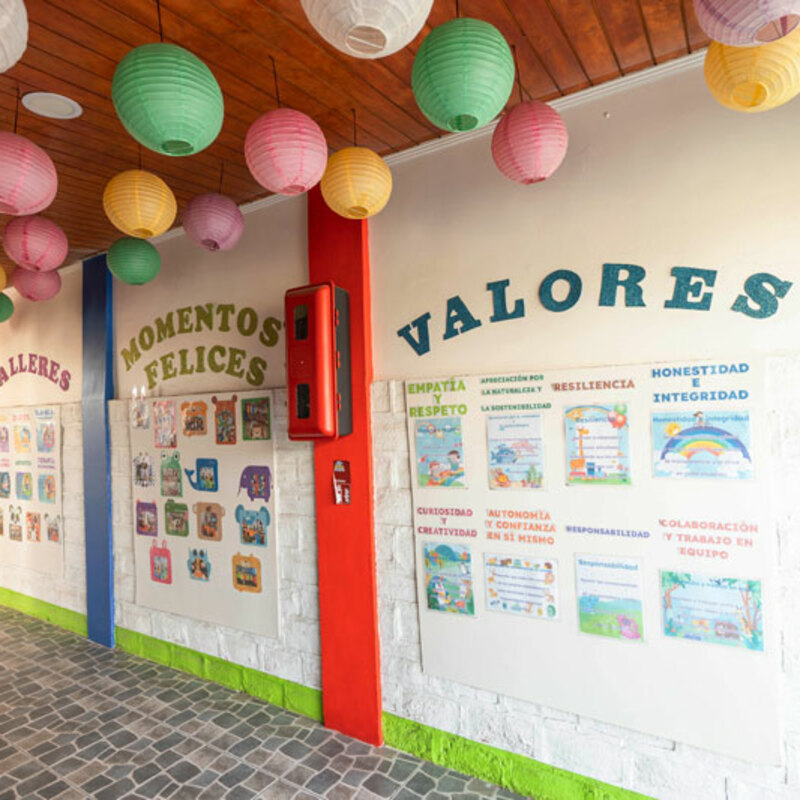 entrada